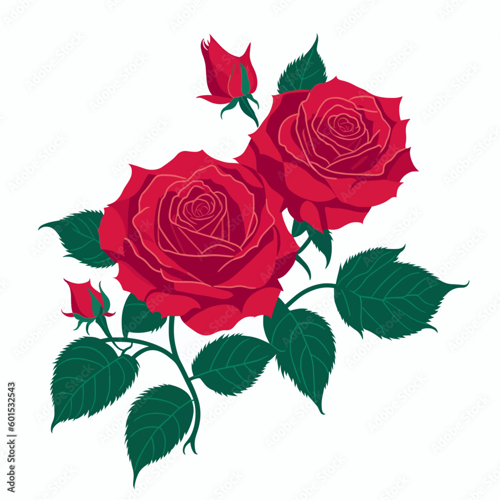 red rose isolated on white