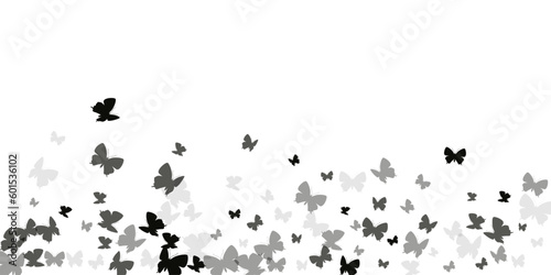 Tropical black butterflies abstract vector wallpaper. Spring beautiful insects. Fancy butterflies abstract children background. Delicate wings moths patten. Tropical beings.