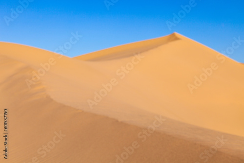sand dune in sunrise in the desert © travelview