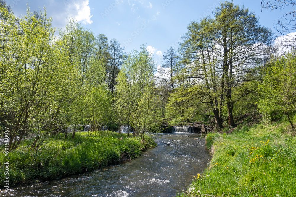Spring Landscape of Iskar river near Pancharevo lake, Bulgaria