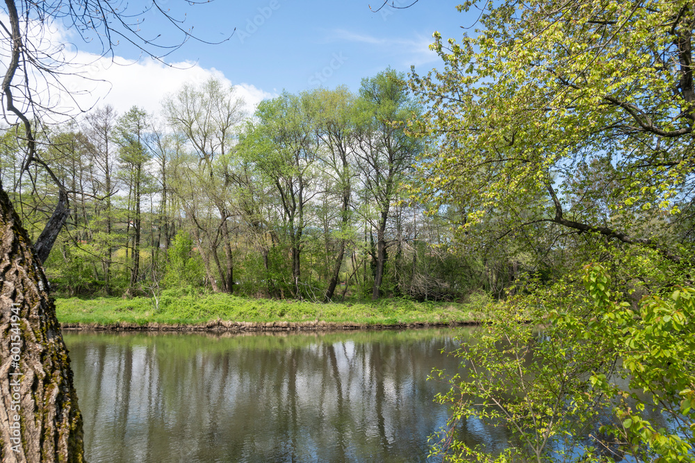 Spring Landscape of Iskar river near Pancharevo lake, Bulgaria Spring Landscape of Iskar river near Pancharevo lake, Bulgaria