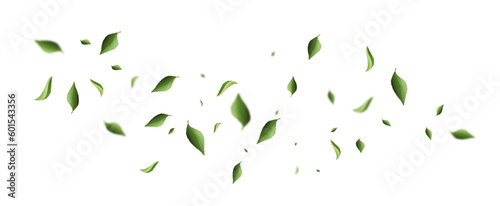 Eco leaves in flight. Cosmetic pattern border. Vegan, eco friendly, natural and organic product. Template, layout and mock up. Foliage with wind. Cartoon flat vector illustration