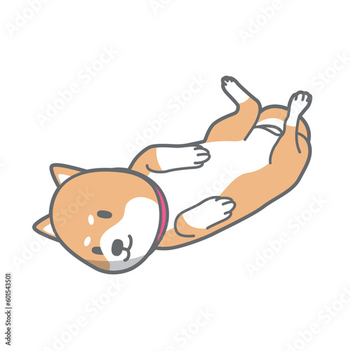 へそ天する柴犬のベクターイラスト
