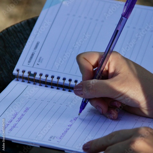 Mulher fazendo anotacões em planner - Woman taking notes on planner photo