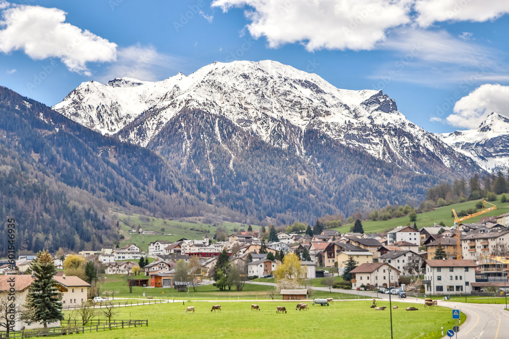 Swiss & Italian Alps