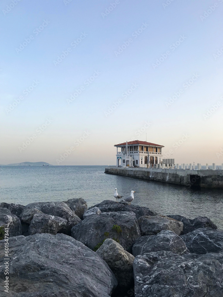 Ferry port and seagulls at Moda Coastline in Istanbul, Turkey. 