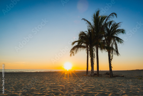 A Beach Sunset with Silhouetted Palm Trees and People