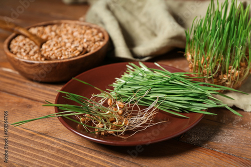 Plate with fresh wheatgrass on brown wooden table