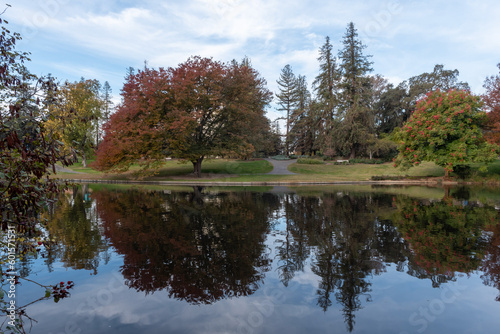 Fall colors at the middle of the UC Davis arboretum over the Spafford Lake featuring trees reflected on Spafford Lake