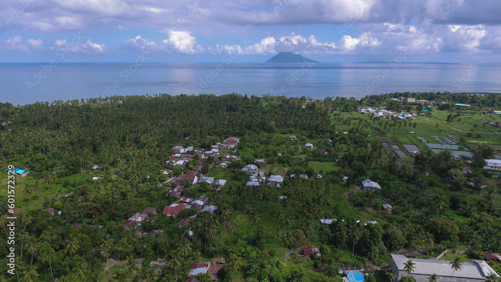Aerial photo of the atmosphere of a village settlement among coconut trees, with the sea and mountains in the distance in the background.