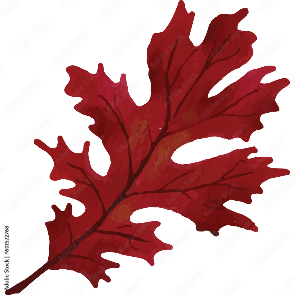 Autumn Leaves Clip art Element Transparent Background Autumn Leaves Clip art Element Transparent Background