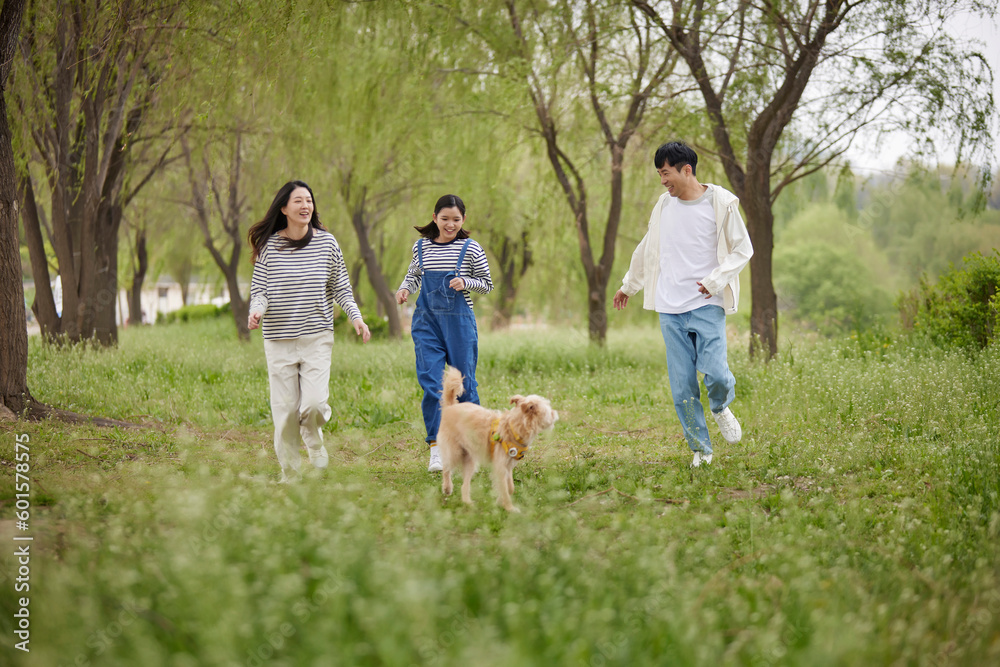 Fototapeta premium 강아지와 함께 뛰어노는 가족