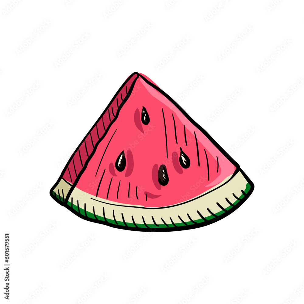 drawing watermelon, fruit isolated at white background, hand drawvector n illustration drawing watermelon, fruit isolated at white background, hand drawvector n illustration