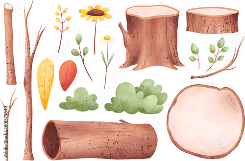 Watercolor Illustration set of wood leaves and nature elements