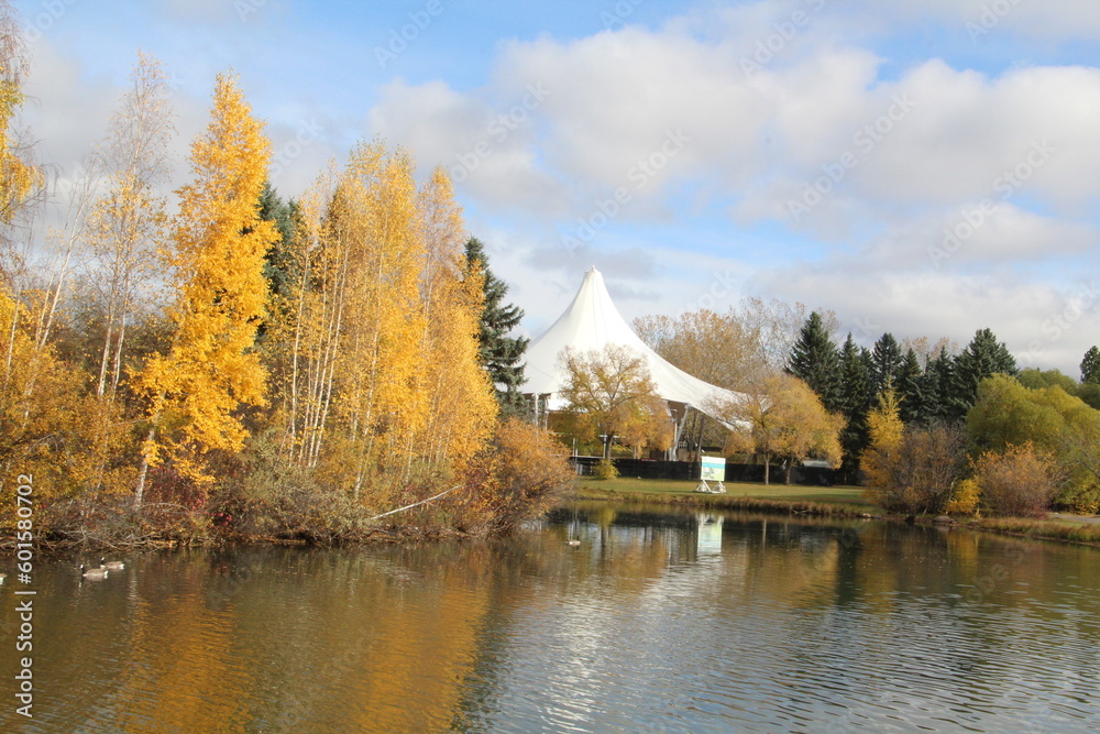 Fototapeta premium autumn landscape with lake