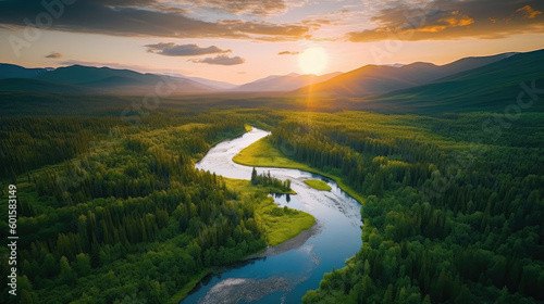 Vast and lush green forest,...