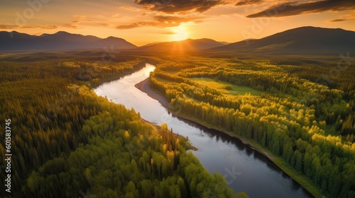 Vast and lush green forest,...