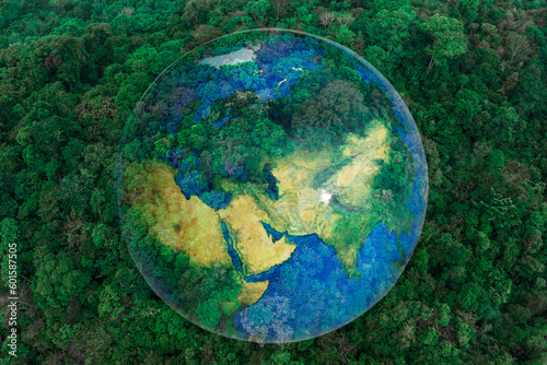 Aerial view of the green forest against the land. Demonstrates the concept of preserving the ecosystem and nature, air pollution and saving the planet.