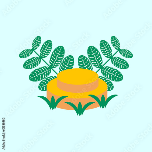 Photography natural product performance platform vector illustration