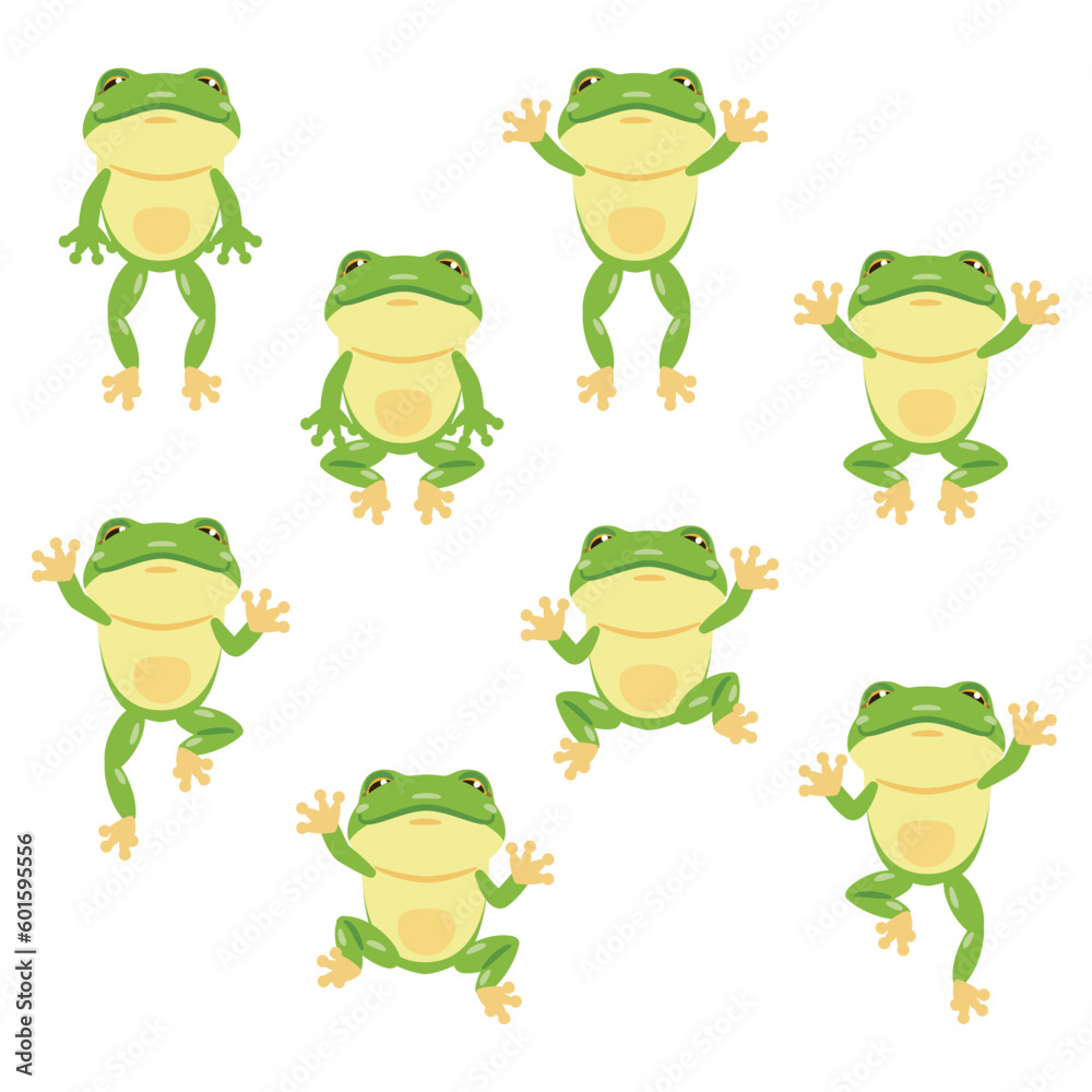 Obraz premium 下から見たカエル セット