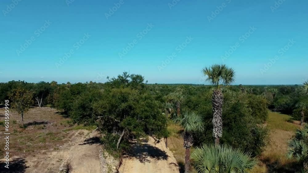 Aerial rising from dirt road revealing landscape with lush vegetation Aerial rising from dirt road revealing landscape with lush vegetation