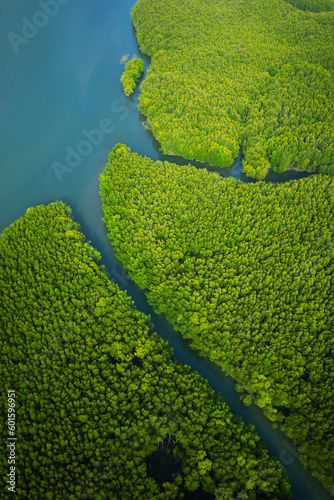 Aerial view of mangrove in Ao thalane-Thailand  © MICHEL