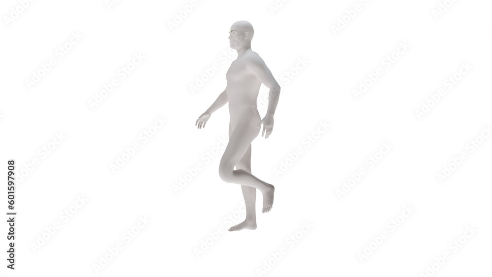 White plastic High resolution conceptual human 3D anatomy body 3d illustration isolated White plastic High resolution conceptual human 3D anatomy body 3d illustration isolated