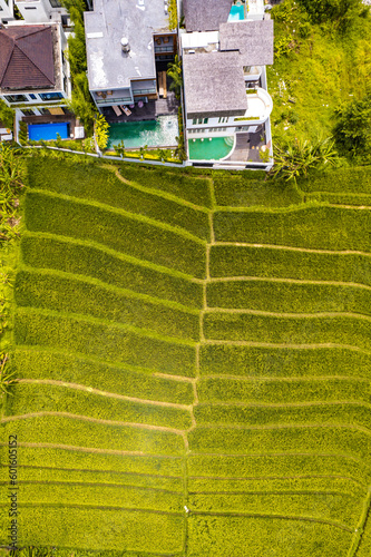 Aerial view of rice terraces in Canggu, Bali, Indonesia