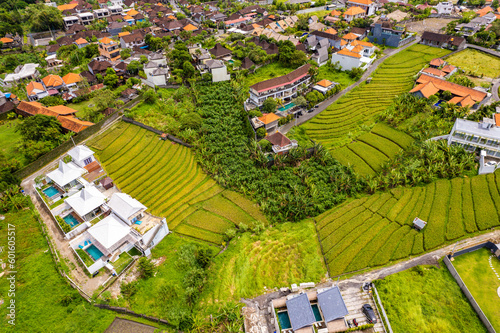Aerial view of rice terraces in Canggu, Bali, Indonesia © pierrick