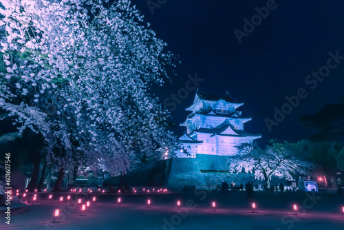 イルミネーションの小田原城と夜桜　日本
