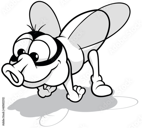 Drawing of a Funny Housefly...