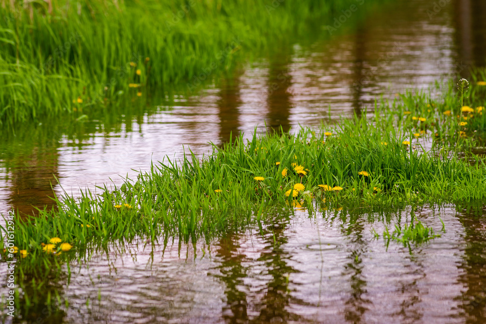 Mud large puddle rural road green grass field dandelion warm spring days Car tracks Wheel Natural countryside landscape transport after rain rainstorm Moldova Olanesti near river Dniester. Mud large puddle rural road green grass field dandelion warm spring days Car tracks Wheel Natural countryside landscape transport after rain rainstorm Moldova Olanesti near river Dniester.
