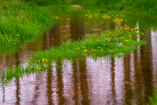 Mud large puddle rural road green grass field dandelion warm spring days Car tracks Wheel Natural countryside landscape transport after rain rainstorm Moldova Olanesti near river Dniester.