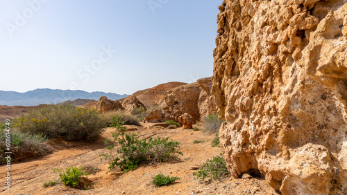 weathered sandy rocks. desert rocks