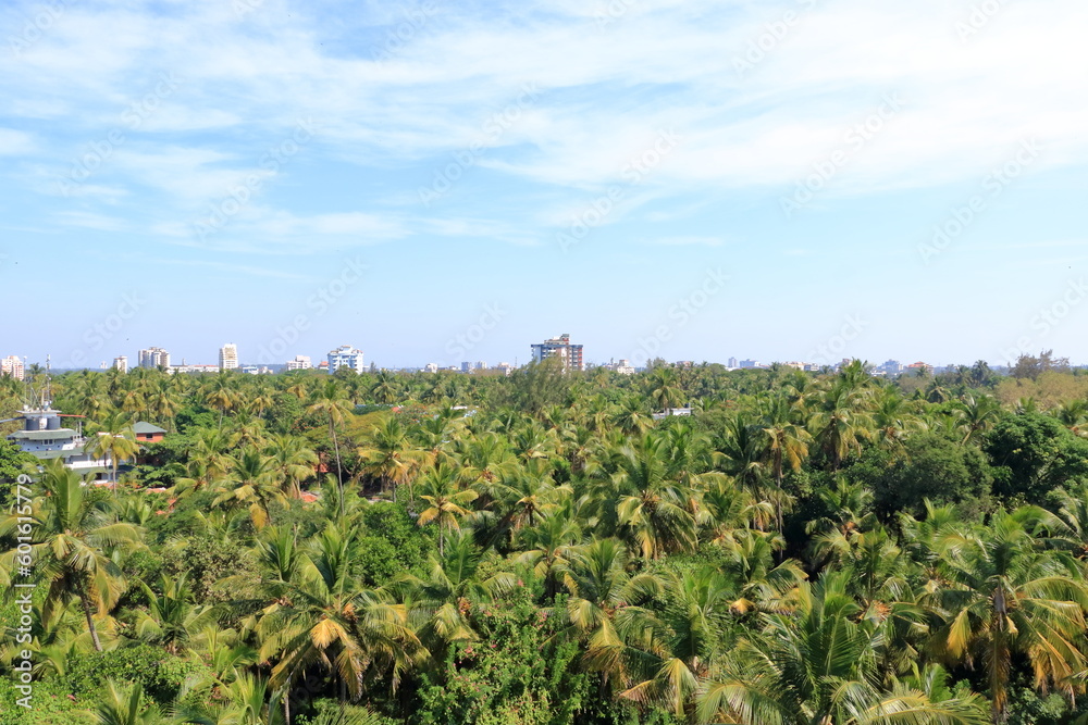 Aerial view of Kannur City beautiful Kerala nature scenery Coconut Trees Buildings and Sea, India