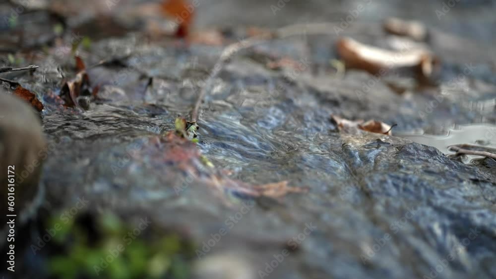 Tight focus follows flow of water over rocks through mud and leaves falling onto rocks Tight focus follows flow of water over rocks through mud and leaves falling onto rocks