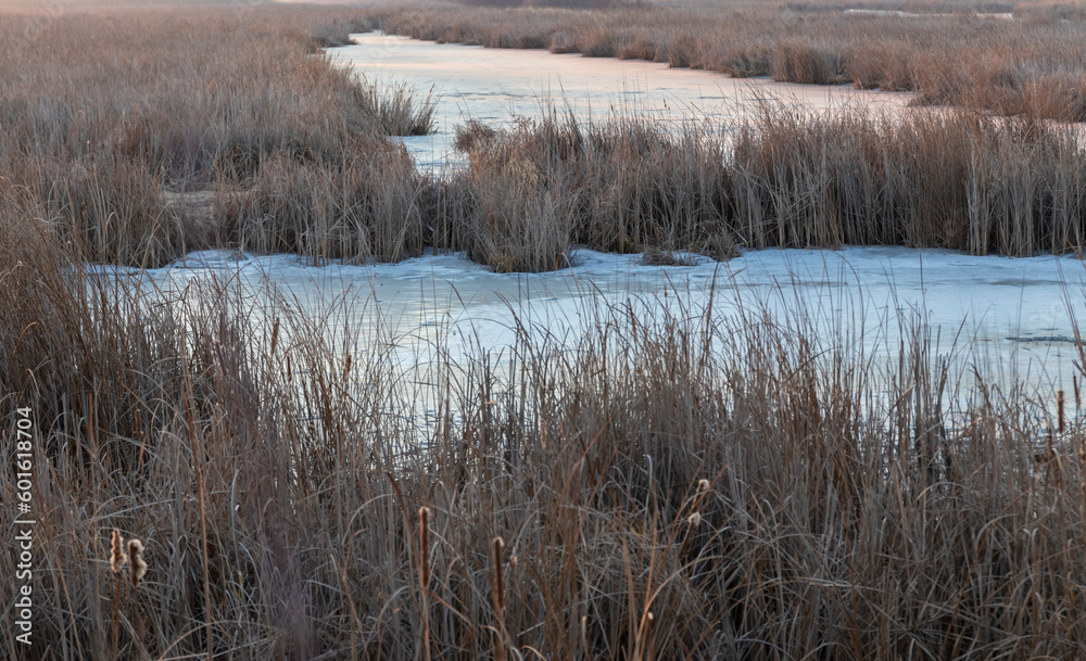 frozen lakes in a field with dry grass frozen lakes in a field with dry grass