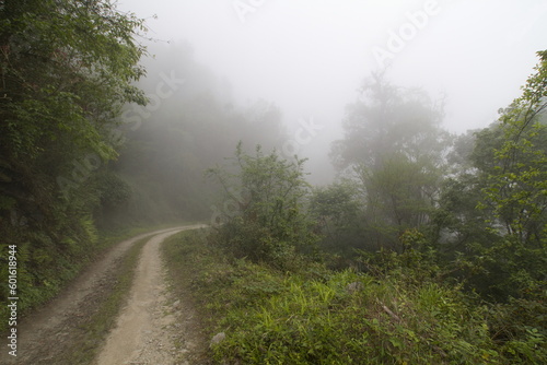 Path in sea orchid wildlife sanctuary © RealityImages