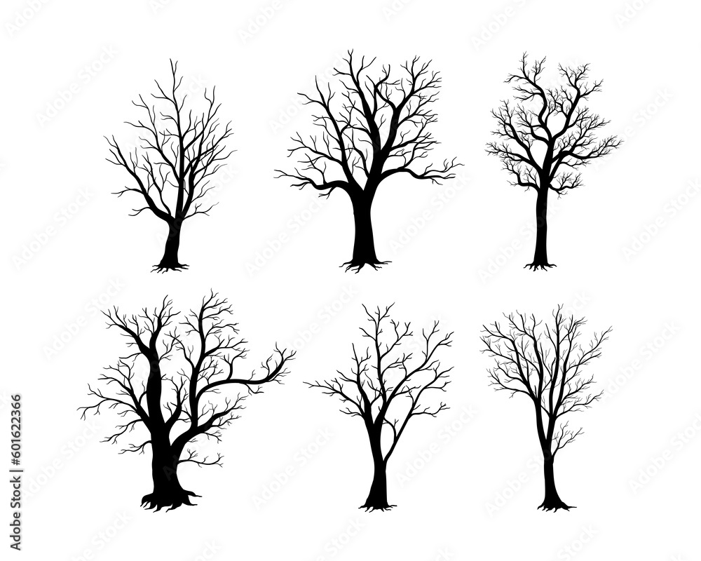 Obraz premium Bare tree silhouette isolated on white background