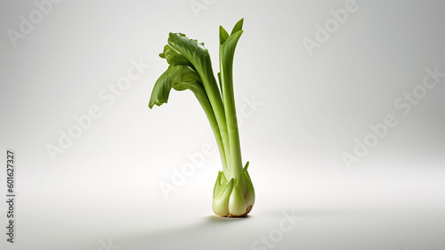 isolated white background photo of celery. generative ai