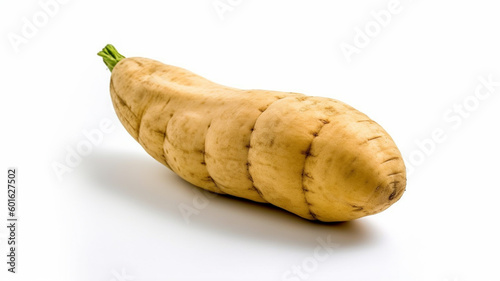 isolated white background photo of Elephant Yam. generative ai
