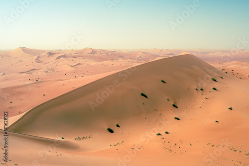 sand dunes in the desert