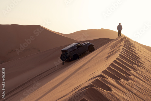 Leinwand Poster safari in the desert