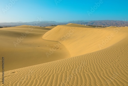 Maspalomas Dunes of Gran Canaria is a stunning desert landscape nestled in the heart of the Canary Islands. The towering dunes  shaped by the constant wind  create an ever-changing panorama of sand
