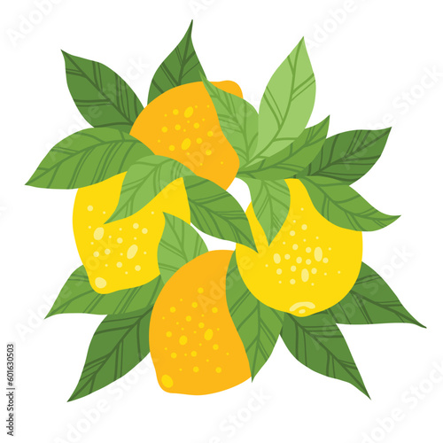 Vector illustration of bunch of lemons with foliage. Hand drawn flat clipart citrus fruit
