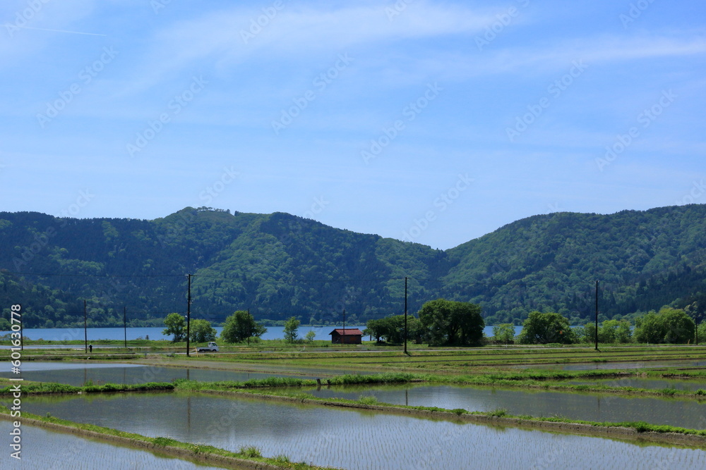 Obraz premium 初夏の余呉湖畔の風景