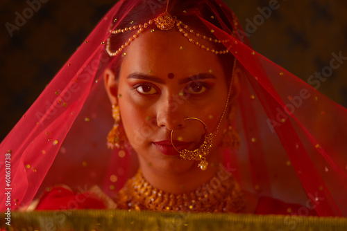 Close-up portrait of Rajput woman with a veil