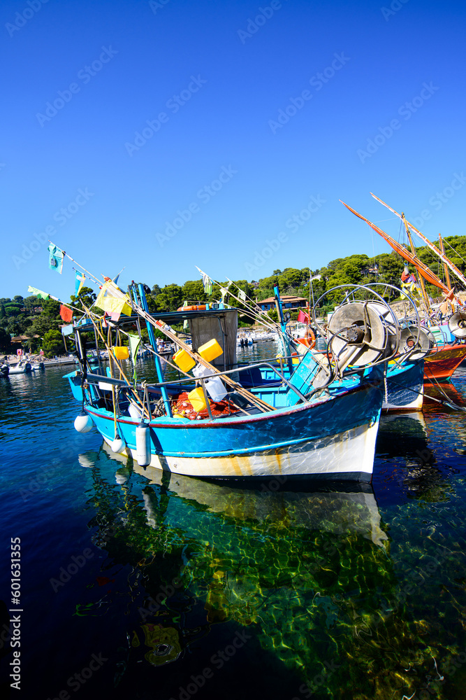A blue nautical fishing vessel moored in the crystal-clear waters of Niel, under a perfect sky