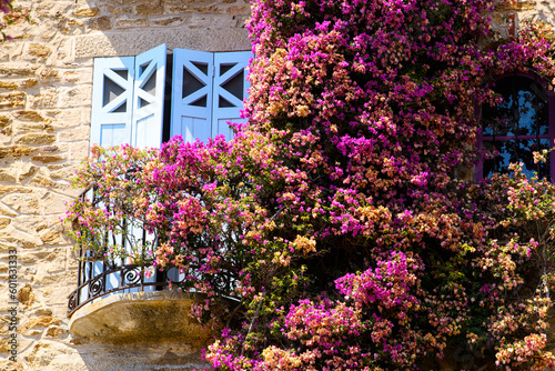 A bright, sunny day at the charming Bormes les Mimosas reveals a beautiful house adorned with flowering plants and trees in its exterior.