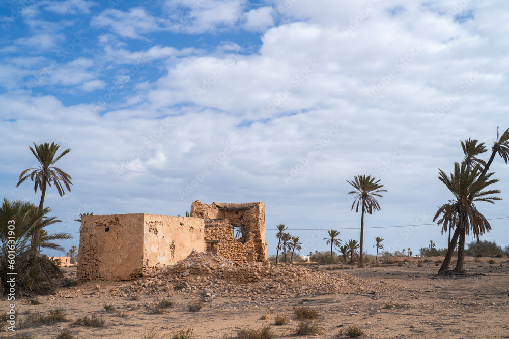 View of Djerba, a large island in southern Tunisia View of Djerba, a large island in southern Tunisia
